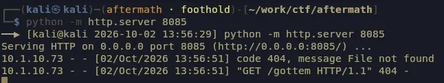 Reverse shell connection received from the target